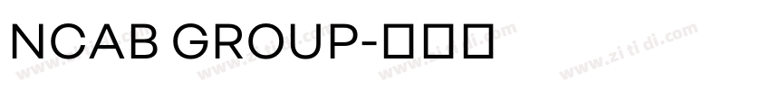 NCAB GROUP字体转换